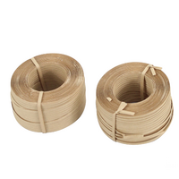 Attacheur a cordé des vignes 2 Batteries 50W 2.0Ah SAURIUM®